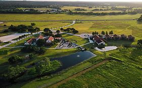 The Vineyard At Florence